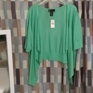 FINAL PRICE NWT LANEBRYANT beautiful mint green s/s layered sweater 22/24
